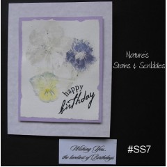 Nature's Stains & Scribbles Greeting Cards - SS7